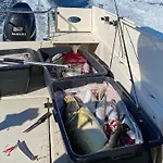 8 Person In Holiday home