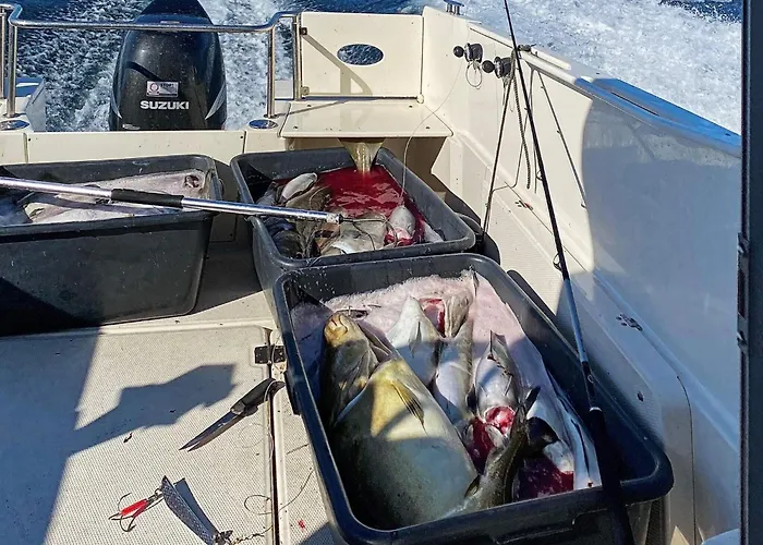 8 Person In בית נופש